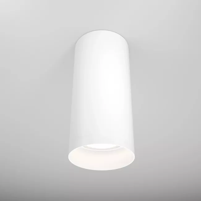Накладной светильник Maytoni C010CL-01W Накладной светильник Maytoni C010CL-01W