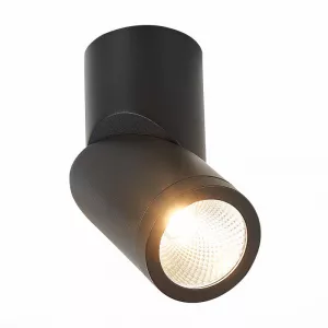 Накладной светильник ST-Luce ST650.442.10