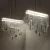 Люстра на штанге Odeon Light 5420/48L