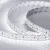 Лента Arlight 021448(2) Лента Arlight 021448(2)