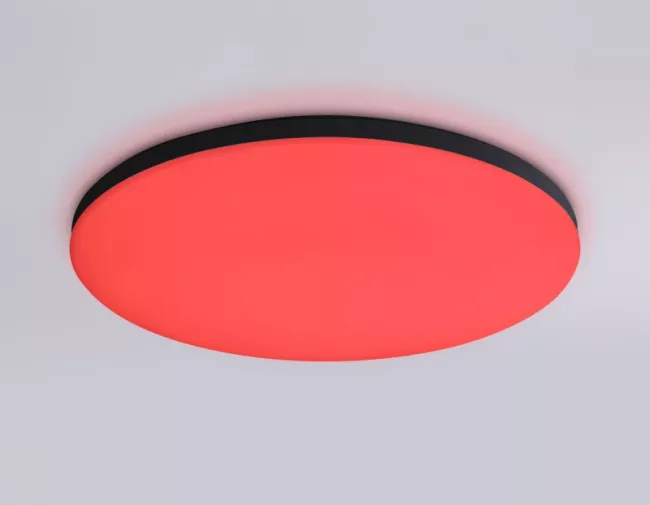 Накладной светильник Ambrella Light FZ2004 Накладной светильник Ambrella Light FZ2004