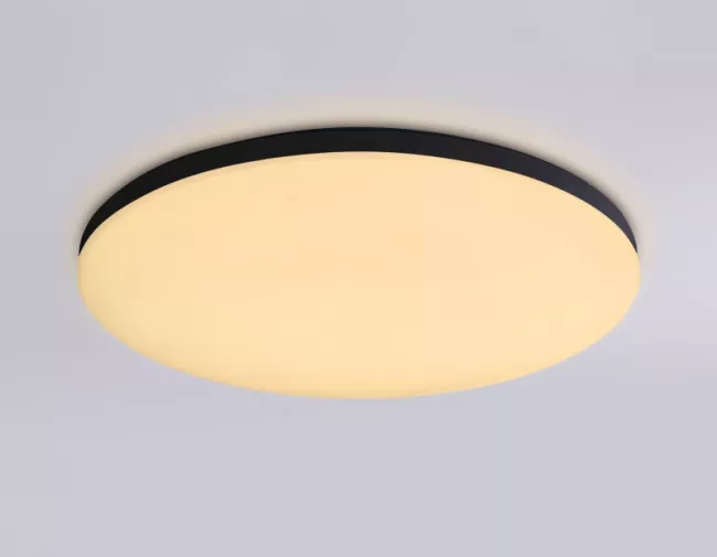 Накладной светильник Ambrella Light FZ2004 Накладной светильник Ambrella Light FZ2004
