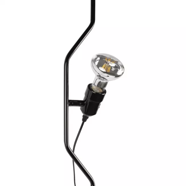 Потолочный детский светильник LOFT IT 10346/2 Black