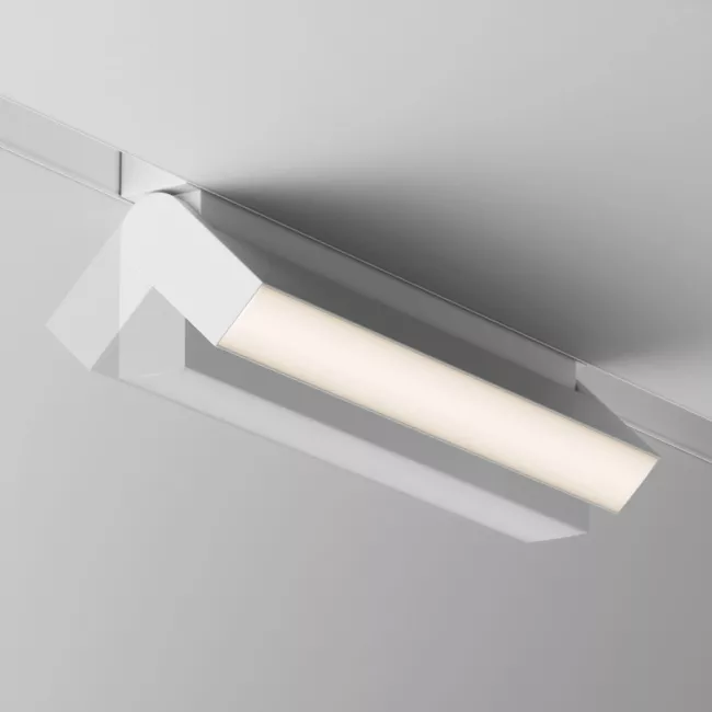 Светильник на шине Maytoni TR075-2-20W3K-W