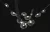 Накладной светильник Crystal Lux BOSQUE SP7 L3000 BLACK/TRANSPARENT Накладной светильник Crystal Lux BOSQUE SP7 L3000 BLACK/TRANSPARENT