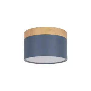 Детский точечный светильник LOFT IT 10162 Blue