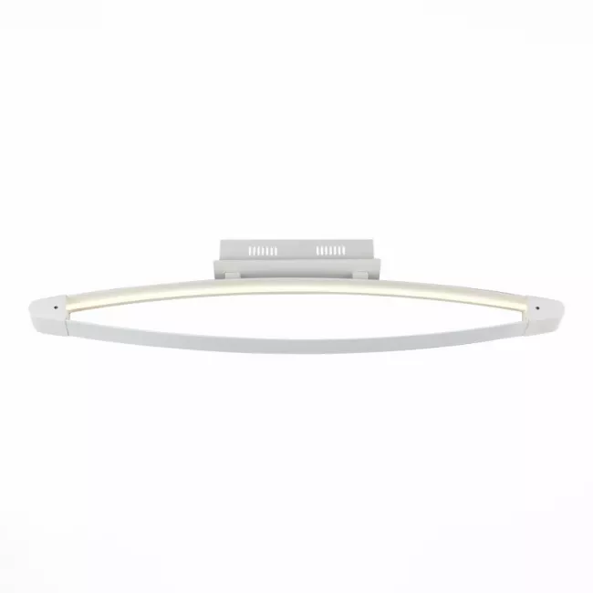 Накладной светильник ST-Luce SL920.102.01