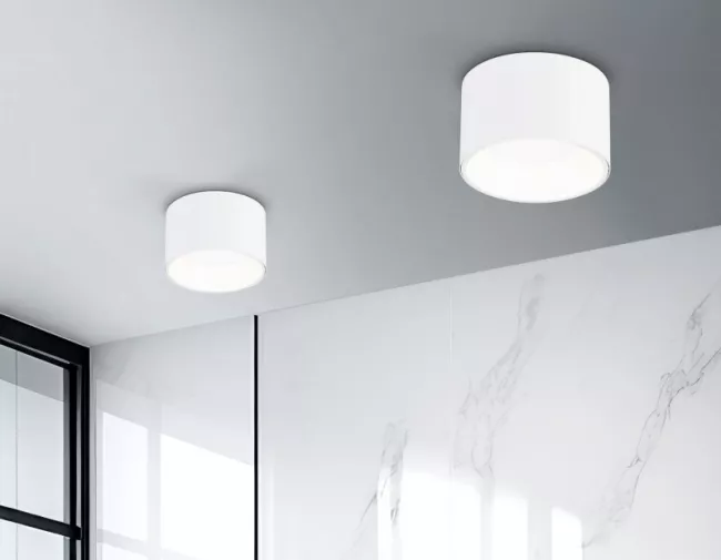 Накладной светильник Ambrella Light TN52892 Накладной светильник Ambrella Light TN52892