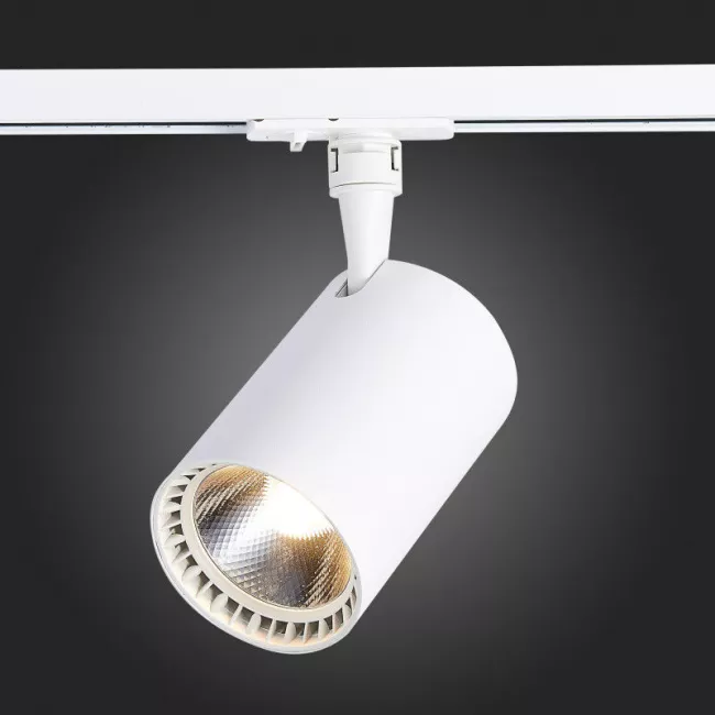 Светильник на шине ST-Luce ST351.536.30.24 Светильник на шине ST-Luce ST351.536.30.24