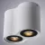 Накладной светильник ARTE Lamp A5644PL-2WH