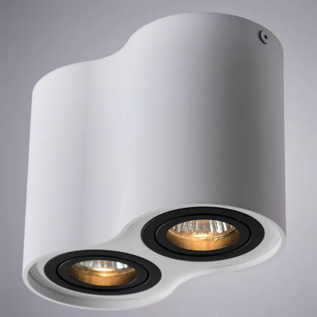 Накладной светильник ARTE Lamp A5644PL-2WH