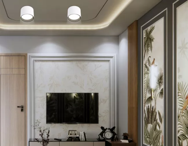 Накладной светильник Ambrella Light TN5303 Накладной светильник Ambrella Light TN5303