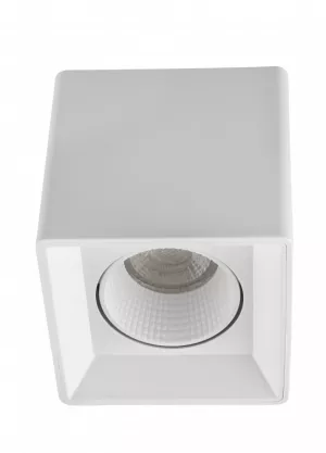 Накладной светильник Denkirs DK3080-WH (серия PRO) Накладной светильник Denkirs DK3080-WH (серия PRO)