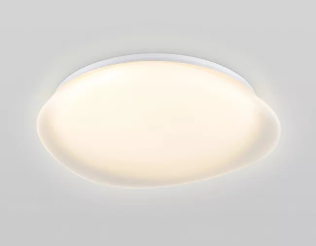 Накладной светильник Ambrella Light FZ1610 Накладной светильник Ambrella Light FZ1610