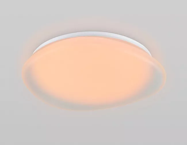 Накладной светильник Ambrella Light FZ1610 Накладной светильник Ambrella Light FZ1610