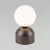 Настольная лампа TK Lighting 16043