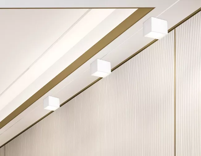 Накладной светильник Ambrella Light TN6530 Накладной светильник Ambrella Light TN6530