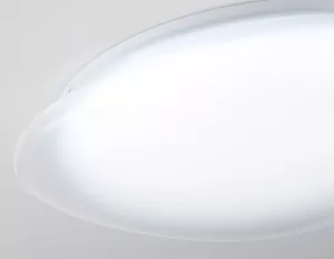 Накладной светильник Ambrella Light FZ1605