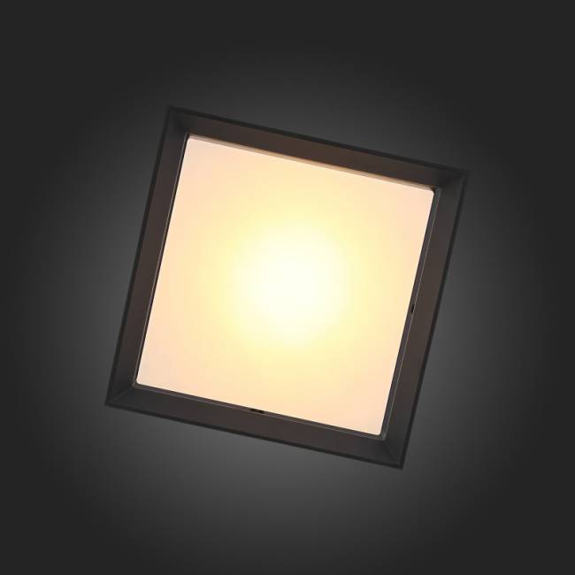 Накладной уличный светильник ST-Luce SL077.402.01 Накладной уличный светильник ST-Luce SL077.402.01