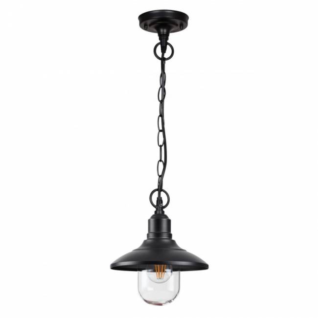Подвесной уличный светильник Odeon Light 4965/1 Подвесной уличный светильник Odeon Light 4965/1