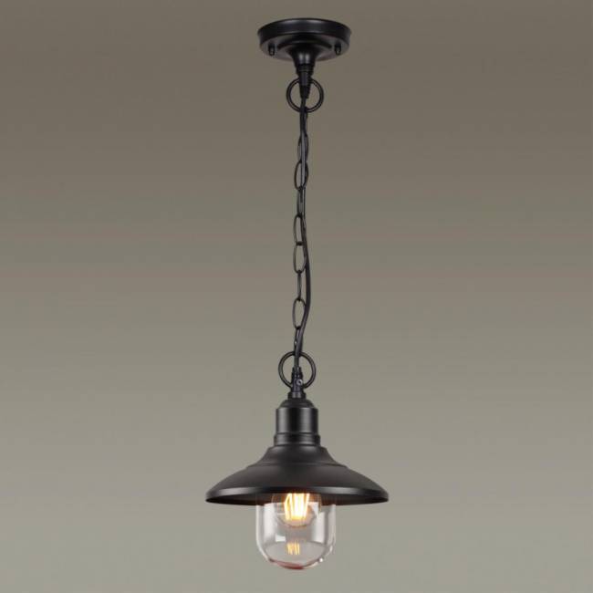 Подвесной уличный светильник Odeon Light 4965/1 Подвесной уличный светильник Odeon Light 4965/1