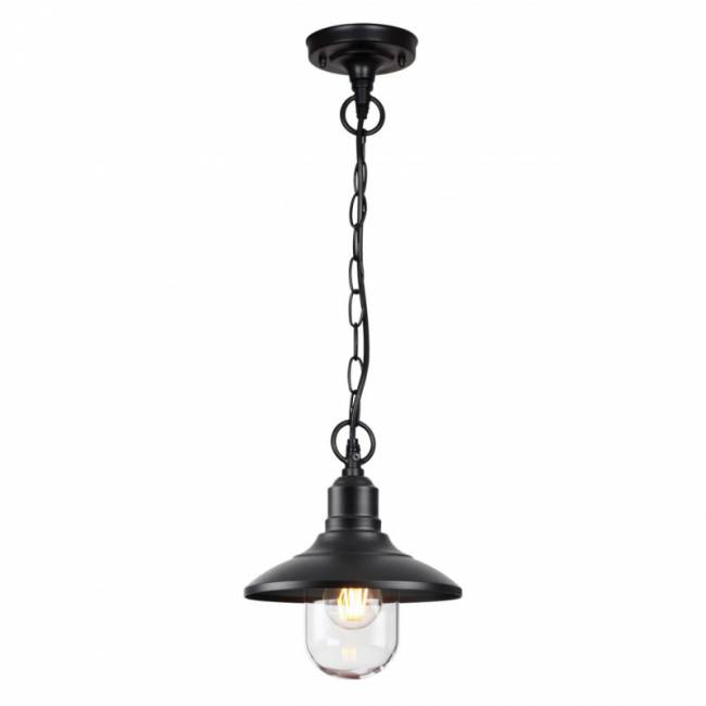 Подвесной уличный светильник Odeon Light 4965/1 Подвесной уличный светильник Odeon Light 4965/1