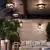 Садово-парковый светильник Odeon Light 4961/1F