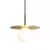 Подвесной светильник LOFT IT 10120/250P Gold