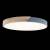 Накладной светильник LOFT IT 10004/36 Grey Накладной светильник LOFT IT 10004/36 Grey