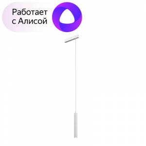 Светильник на шине Denkirs DK8008-WH (серия PRO) Светильник на шине Denkirs DK8008-WH (серия PRO)