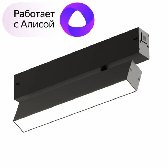 Светильник на шине Denkirs DK8009-BK (серия PRO) Светильник на шине Denkirs DK8009-BK (серия PRO)