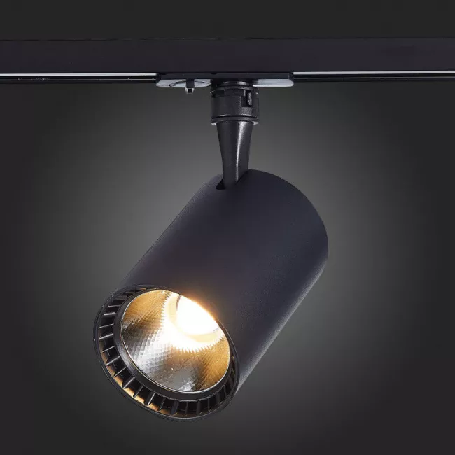 Светильник на шине ST-Luce ST351.446.20.36 Светильник на шине ST-Luce ST351.446.20.36