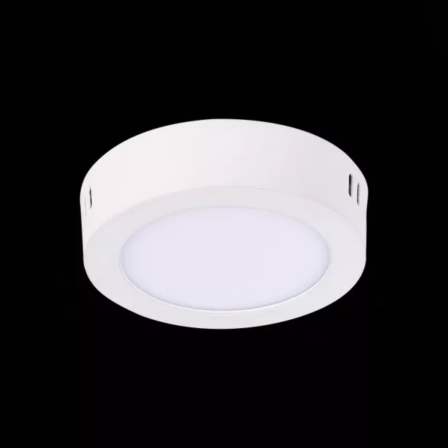 Накладной светильник ST-Luce ST112.542.06 Накладной светильник ST-Luce ST112.542.06