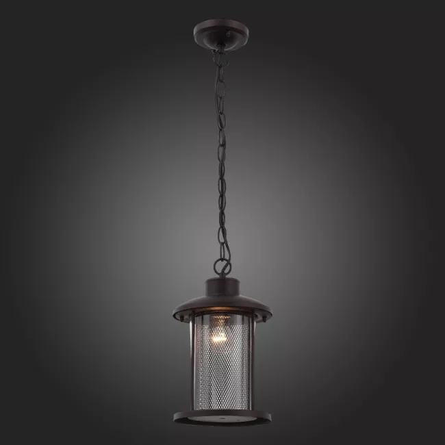 Подвесной уличный светильник ST-Luce SL080.403.01 Подвесной уличный светильник ST-Luce SL080.403.01