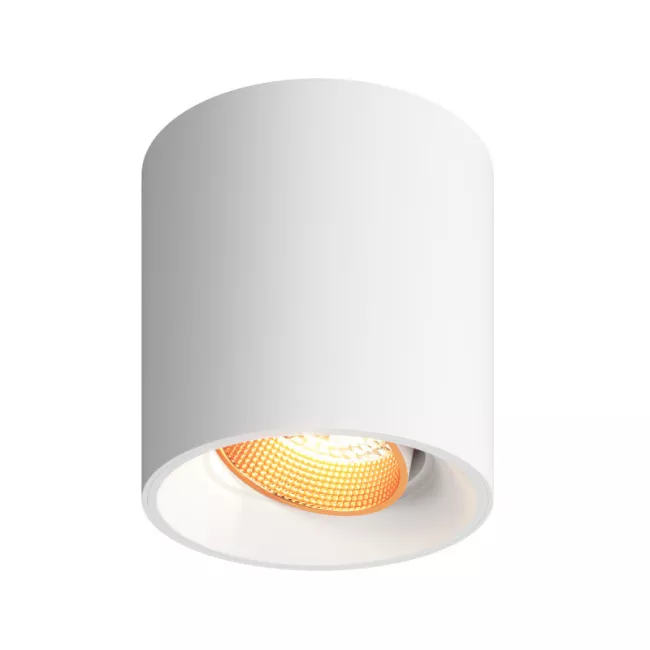 Накладной светильник Denkirs DK3090-WBR (серия PRO) Накладной светильник Denkirs DK3090-WBR (серия PRO)