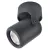 Спот ARTE Lamp A3316PL-1BK Спот ARTE Lamp A3316PL-1BK