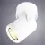 Спот ARTE Lamp A3316PL-1WH Спот ARTE Lamp A3316PL-1WH