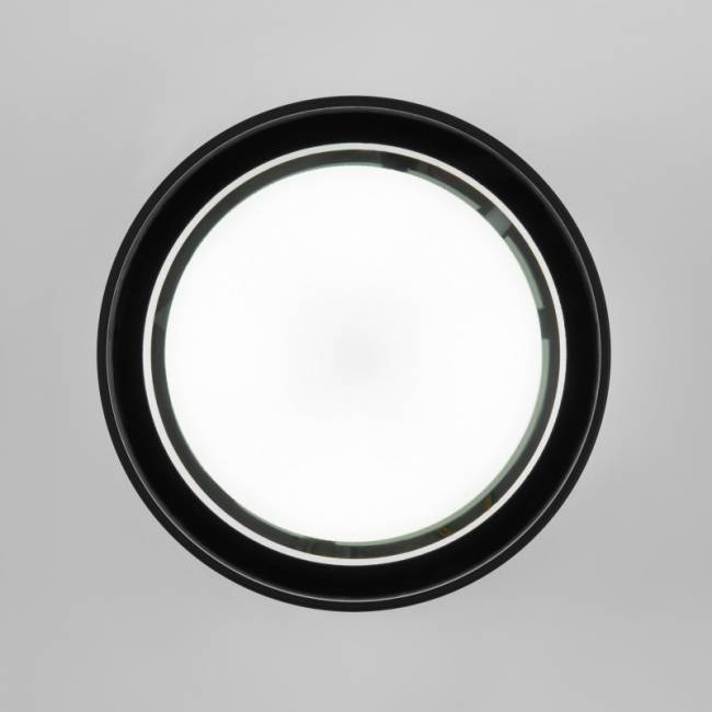 Накладной уличный светильник Elektrostandard Light 26231 (35144/H) черный