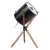 Настольная лампа LOFT IT 10245T Black Настольная лампа LOFT IT 10245T Black