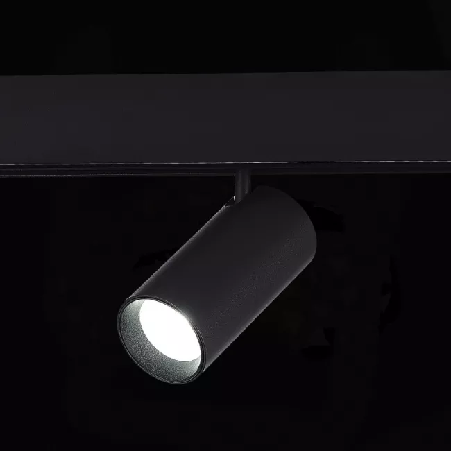 Светильник на шине ST-Luce ST375.406.12.1 Светильник на шине ST-Luce ST375.406.12.1