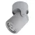 Спот ARTE Lamp A3316PL-1GY Спот ARTE Lamp A3316PL-1GY