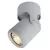 Спот ARTE Lamp A3316PL-1GY Спот ARTE Lamp A3316PL-1GY