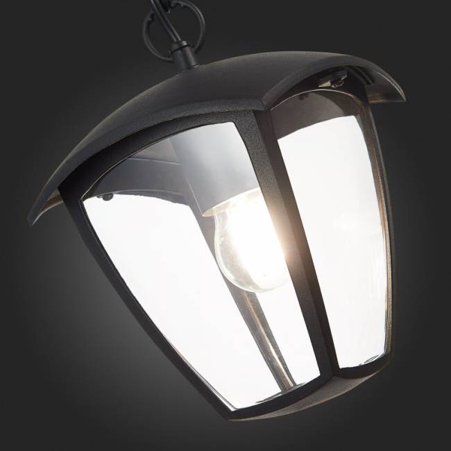 Подвесной уличный светильник ST-Luce SL081.403.01 Подвесной уличный светильник ST-Luce SL081.403.01