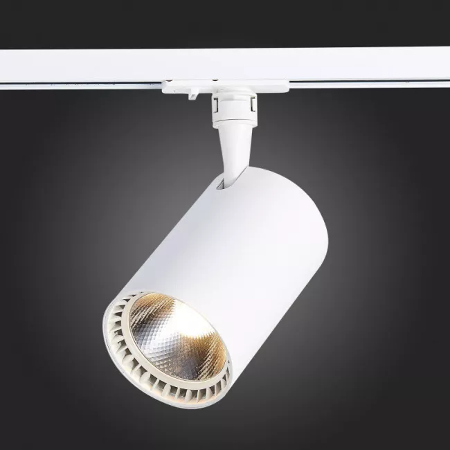 Светильник на шине ST-Luce ST351.546.30.36 Светильник на шине ST-Luce ST351.546.30.36