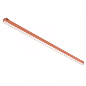 Светильник на шине Divinare 2480/34 SP-40 Светильник на шине Divinare 2480/34 SP-40