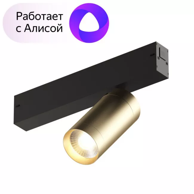 Светильник на шине Denkirs DK8010-BG (серия PRO)