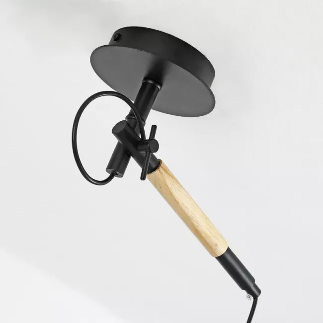 Подвесной светильник F-Promo 3006-1P Подвесной светильник F-Promo 3006-1P