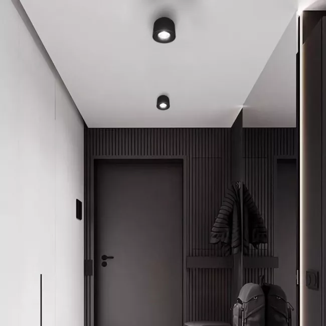 Накладной светильник LOFT IT 10219 Black 4000K
