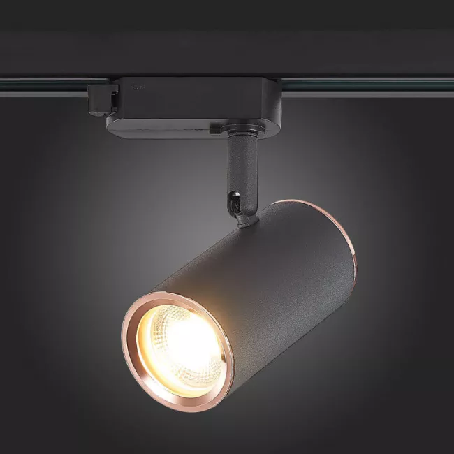 Светильник на шине ST-Luce ST301.426.01 Светильник на шине ST-Luce ST301.426.01
