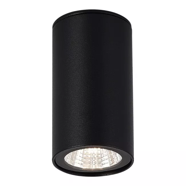 Накладной уличный светильник ST-Luce SL9514.402.01